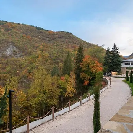 Rossa Luxury & Narechenski Bani