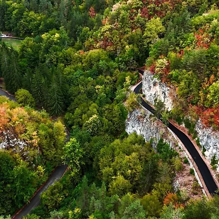 Rossa Luxury & Narechenski Bani